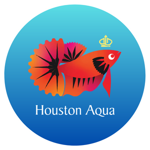 Houston Aqua 