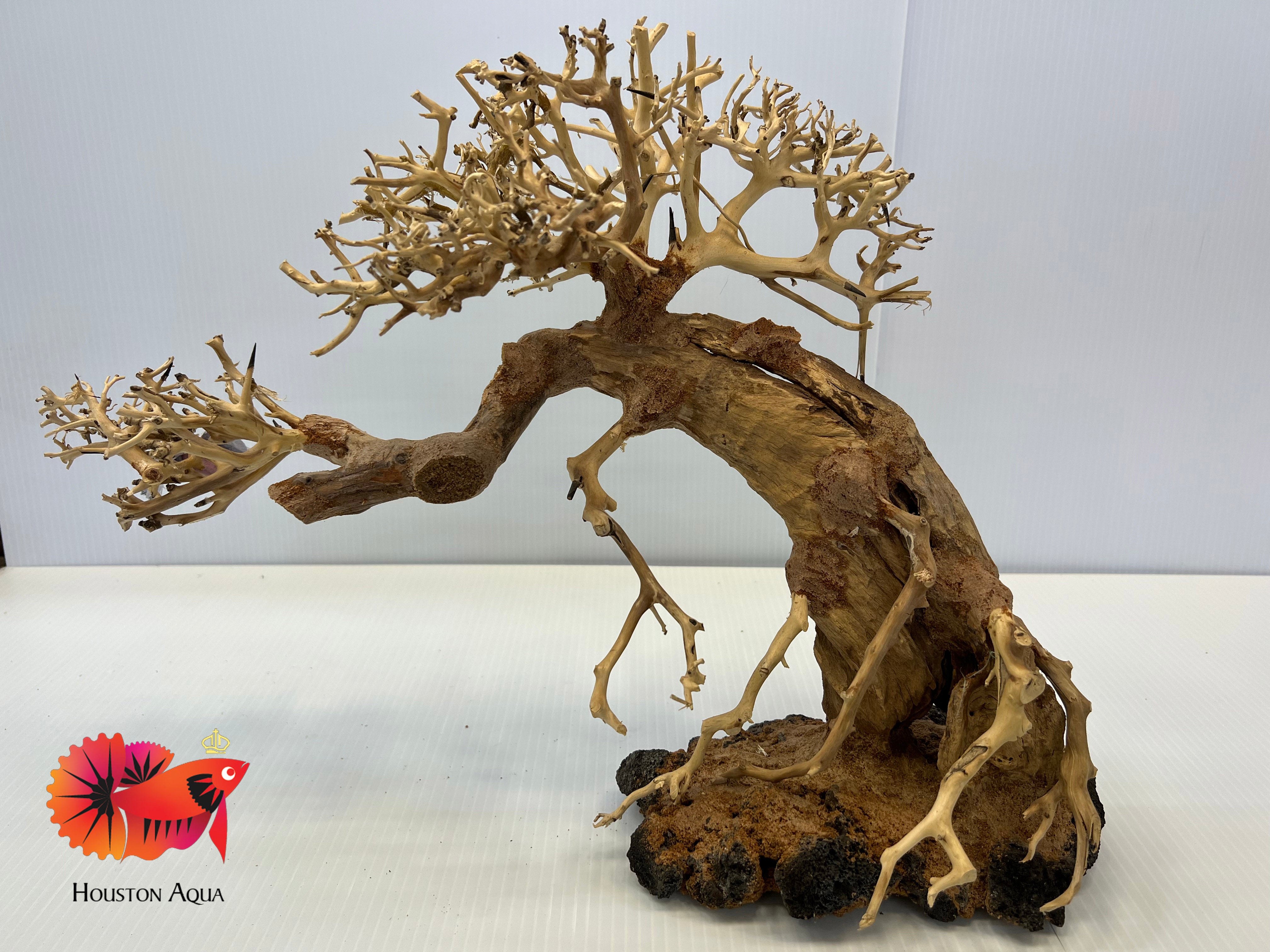 bonsai aquarium tree Large Masterpiece Bonsai Driftwood