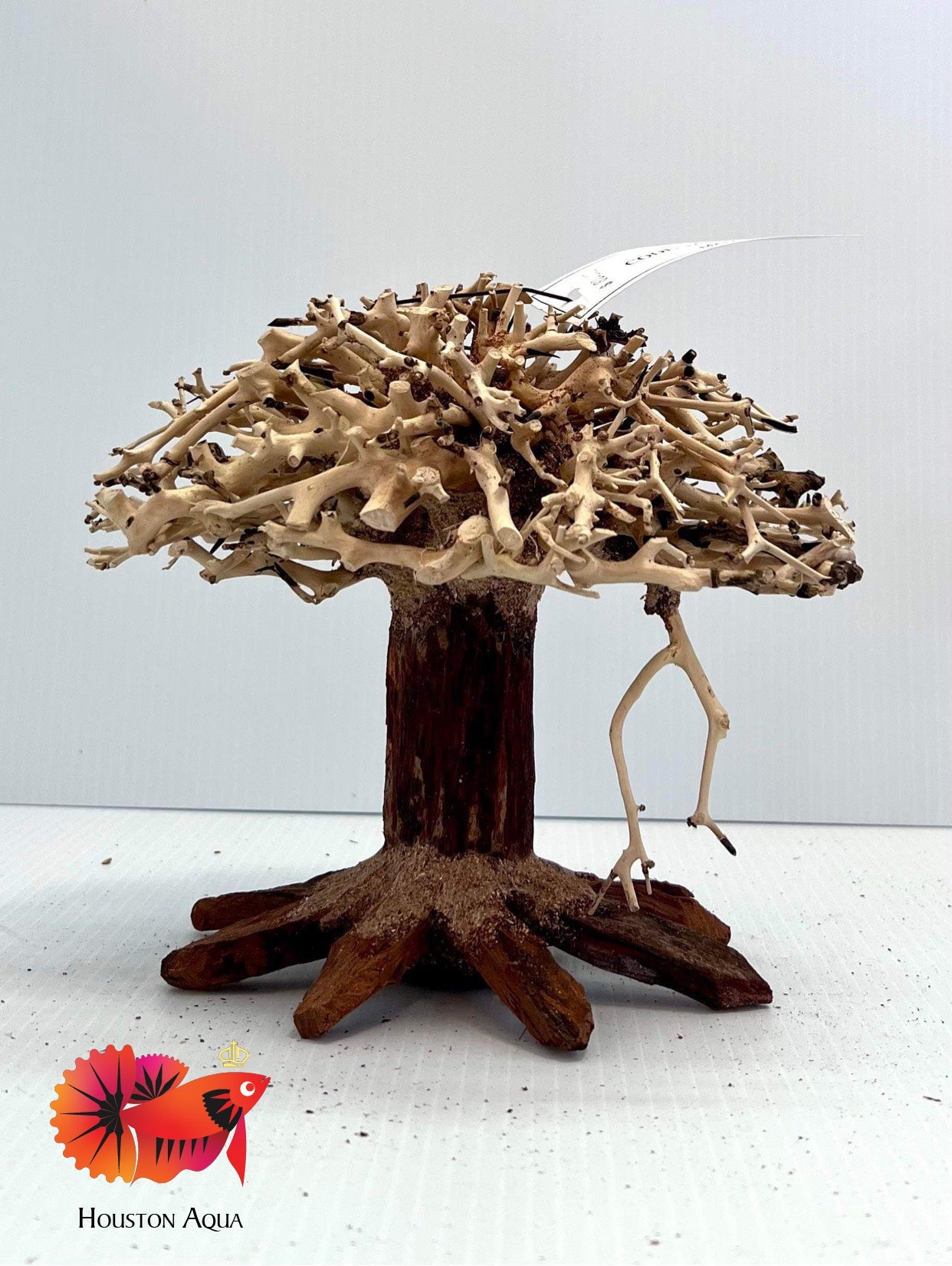 where can i buy a bonsai tree in houston Aquascape Bonsai Driftwood Tree by HOUSTON AQUA – Houston Aqua