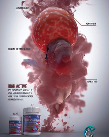 High Active - CZ Aqua Flowerhorn Fish Supplement