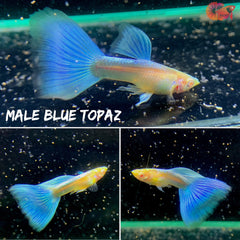 Albino Blue Topaz
