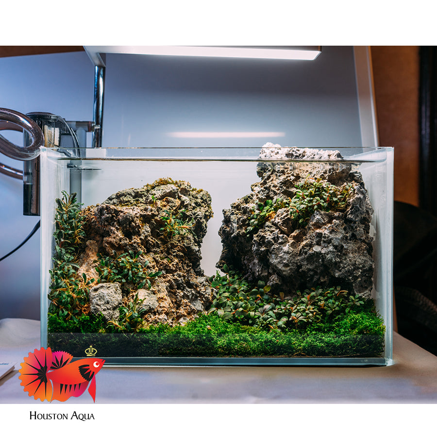 UNS System Tank 3N Nano 3GAL (12.2”-7.48”-7.48”) – Houston Aqua