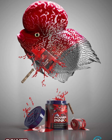 Power Pink Plus - CZ Aqua Flowerhorn Fish Food