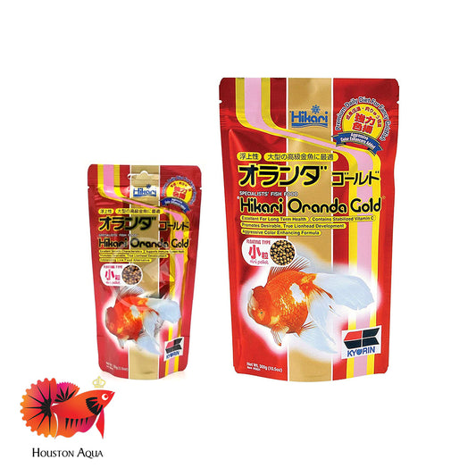 Hikari Oranda Gold