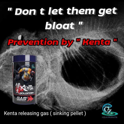 Kenta Release Gas - 150g, 1.5mm (sinking pellets) - CZ Aqua Goldfish Food