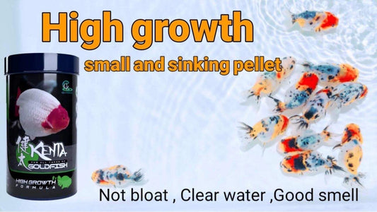 High Growth Formula - CZ Aqua Goldfish Food