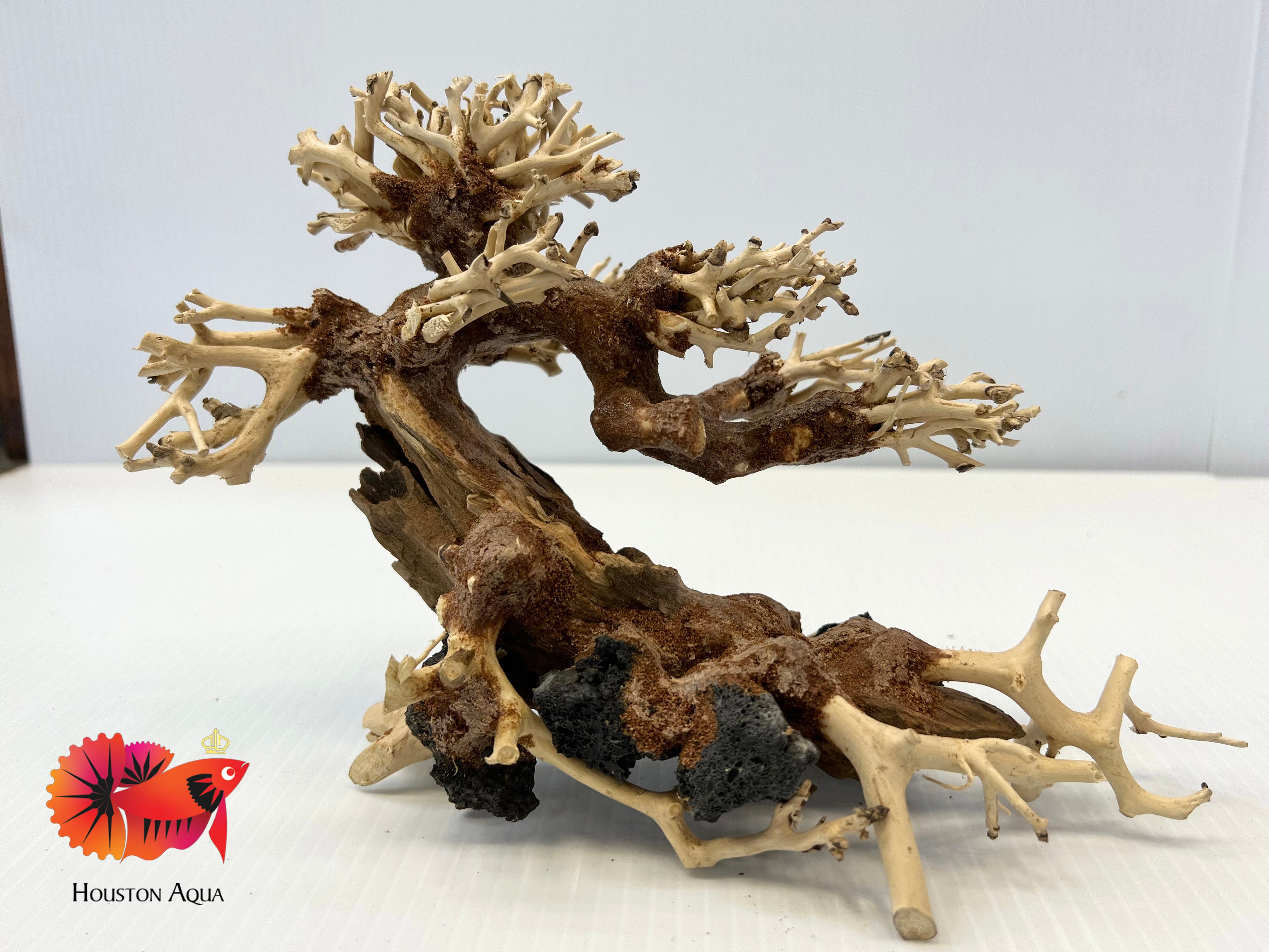 aquarium bonsai tree for sale Masterpiece Bonsai Driftwood