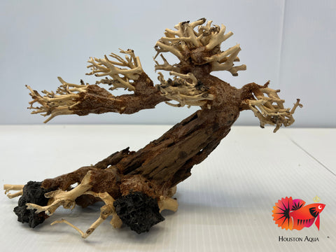 Masterpiece Bonsai Driftwood - 40 x 50 cm