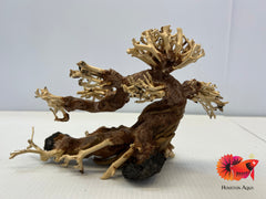 Masterpiece Bonsai Driftwood - 40 x 50 cm