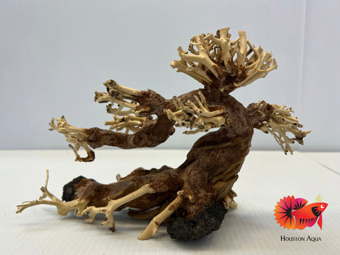 Masterpiece Bonsai Driftwood - 40 x 50 cm