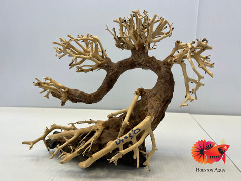 Large Masterpiece Bonsai Driftwood - 25 x 35 cm