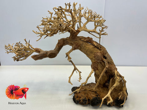 Large Masterpiece Bonsai Driftwood - 25 x 35 cm