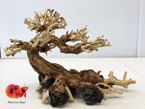 Masterpiece Bonsai Driftwood - 15 x 20 cm