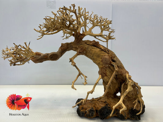Large Masterpiece Bonsai Driftwood - 25 x 35 cm