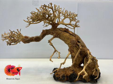 Large Masterpiece Bonsai Driftwood - 25 x 35 cm