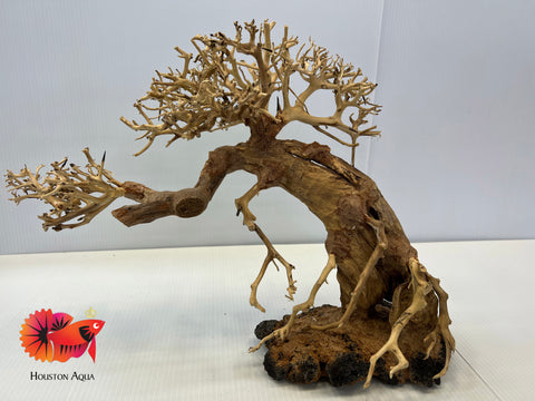 Large Masterpiece Bonsai Driftwood - 25 x 35 cm