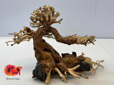 Masterpiece Bonsai Driftwood - 10 x 15 cm