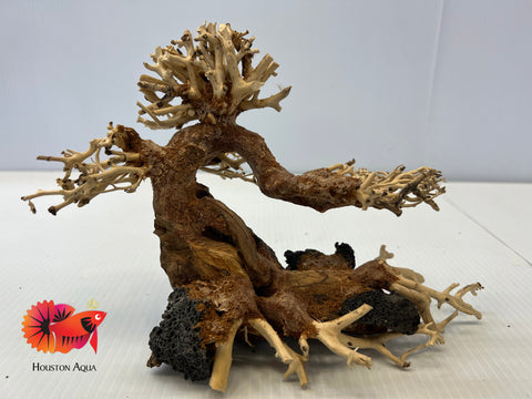 Masterpiece Bonsai Driftwood - 10 x 15 cm