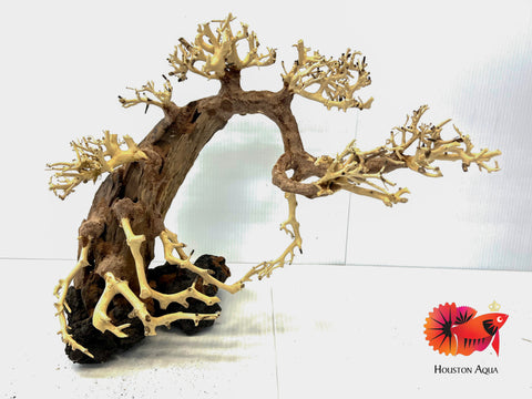 Large Masterpiece Bonsai Driftwood - 25 x 35 cm