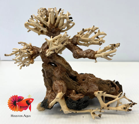 Masterpiece Bonsai Driftwood - 40 x 50 cm