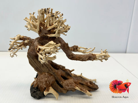 Masterpiece Bonsai Driftwood - 15 x 20 cm