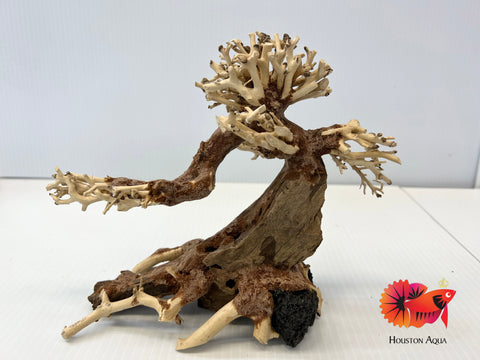 Masterpiece Bonsai Driftwood - 10 x 15 cm