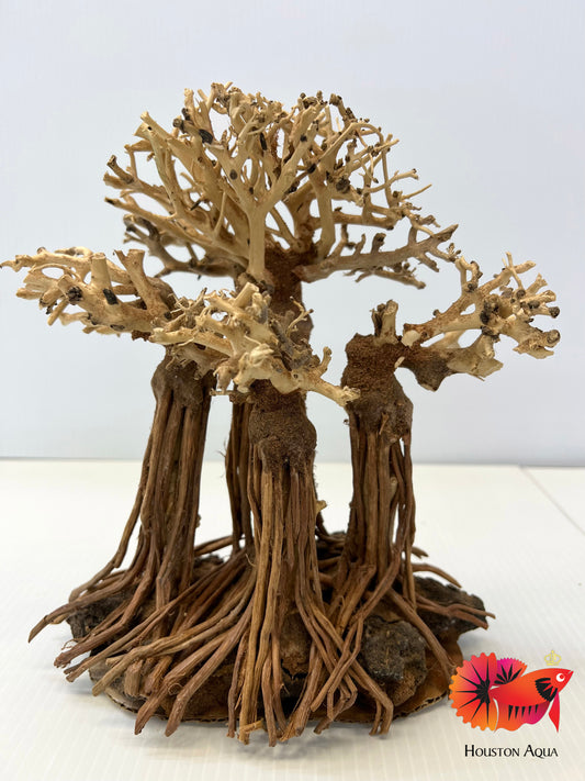 Masterpiece Bonsai Driftwood - 25 x 30 cm