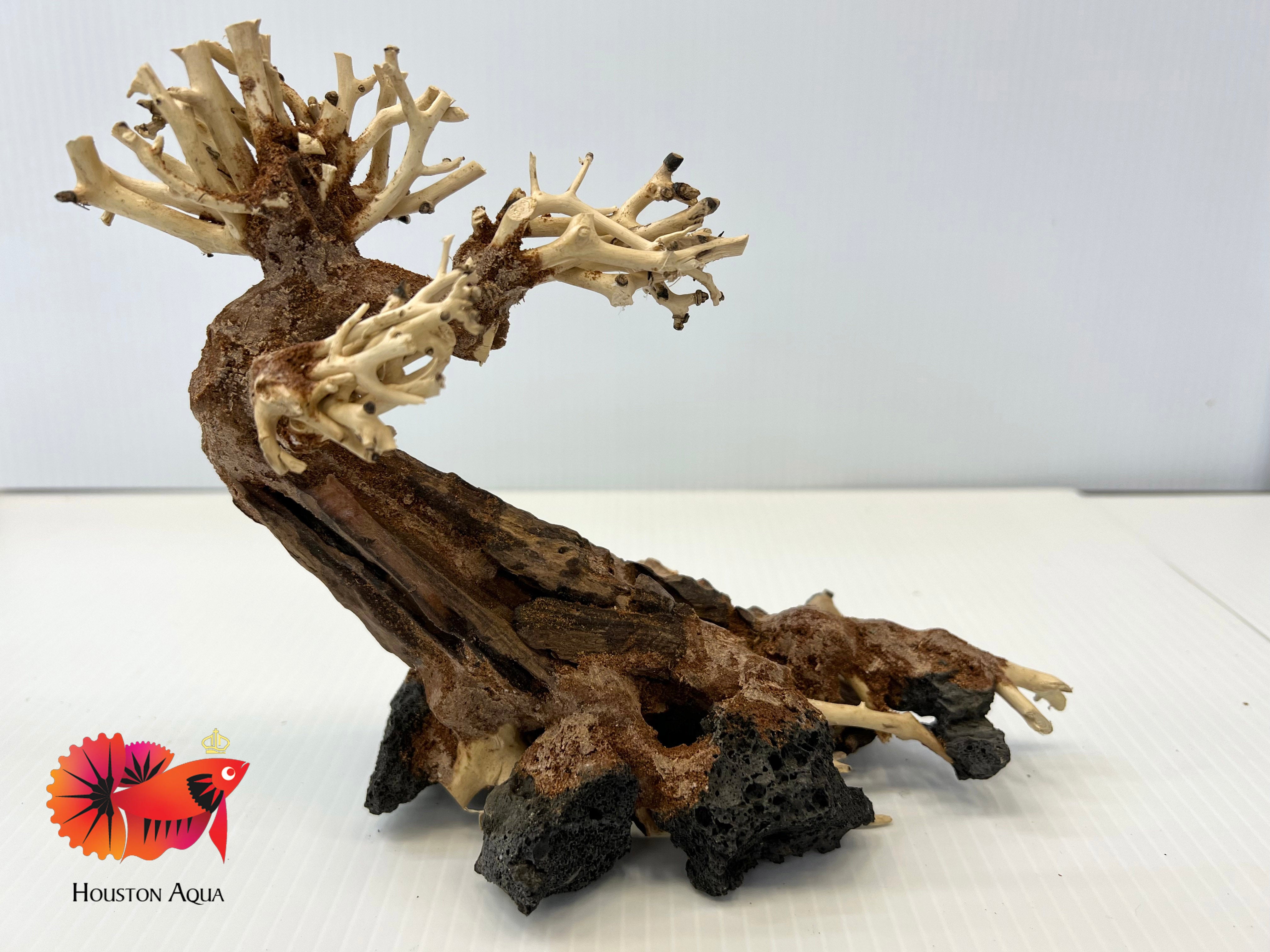 Masterpiece Bonsai Driftwood - 15 x 20 cm