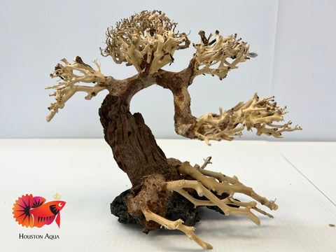 Masterpiece Bonsai Driftwood - 17 x 23 cm