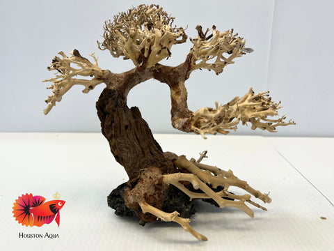 Masterpiece Bonsai Driftwood - 17 x 23 cm