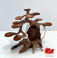 Aesthetic Bonsai Driftwood Tree W7H5