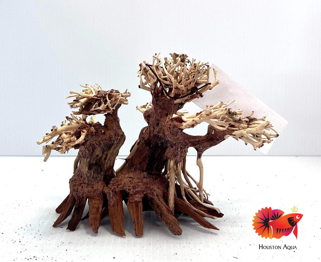 Aquascape Bonsai Driftwood Tree by HOUSTON AQUA – Houston Aqua