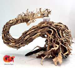 Aesthetic Bonsai Driftwood Tree W12H9