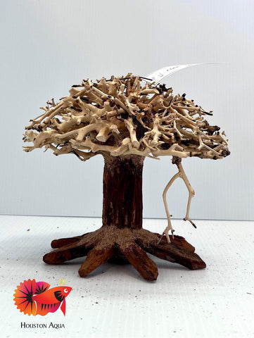 Aesthetic Bonsai Driftwood Tree W5H4